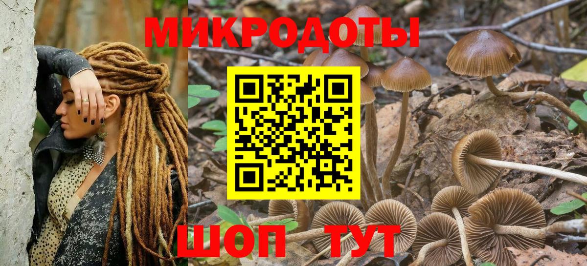 Галлюциногенные грибы мицелий  Галлюциногенные грибы Cubensis  где продают наркотики  Ноябрьск  Вход с VPN 